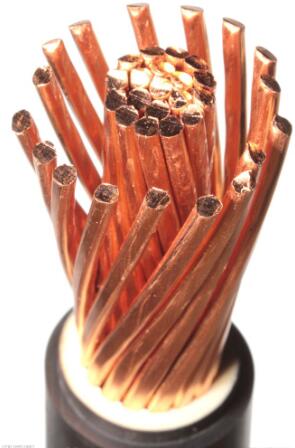 电缆.jpg 电缆.jpg