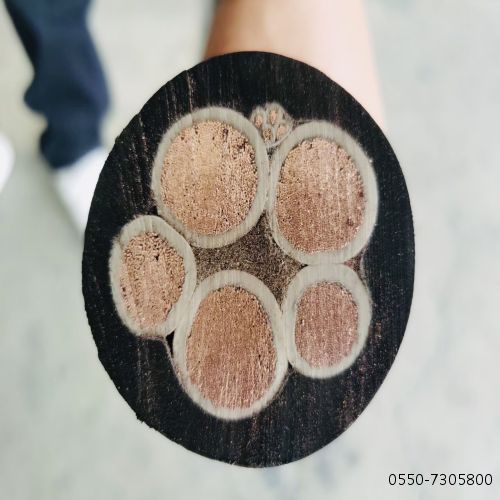 ÌØÖÖµçÀ³§¼Ò341.jpg ÌØÖÖµçÀ³§¼Ò341.jpg