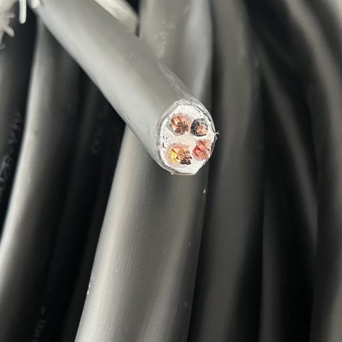 IMG_3321.jpg IMG_3321.jpg