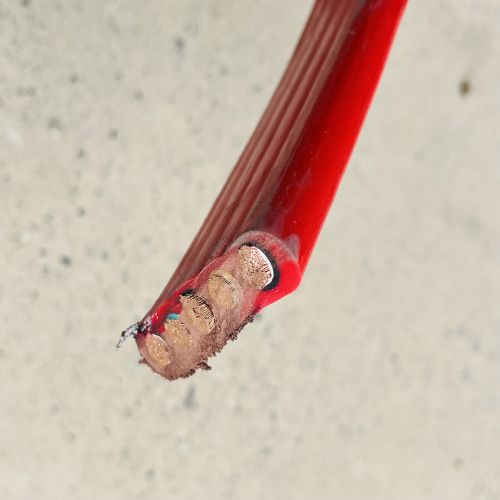 IMG_2459.jpg IMG_2459.jpg