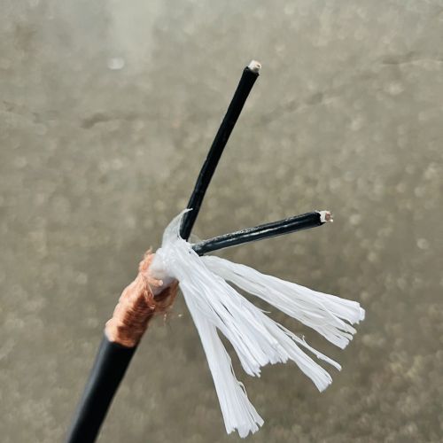 IMG_3341.jpg IMG_3341.jpg