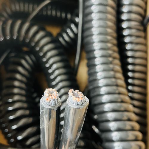 IMG_1513.jpg IMG_1513.jpg