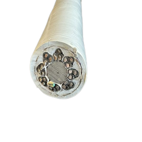 202501261523573849 202501261523573849