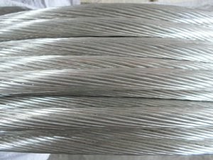 J9����|����վ����