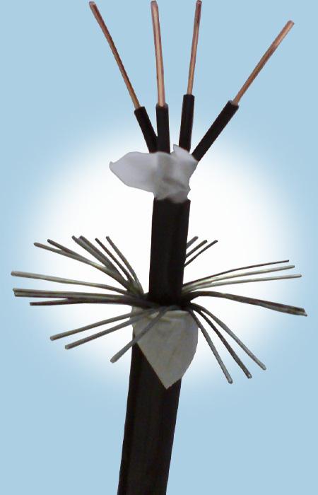 J9����|����վ����