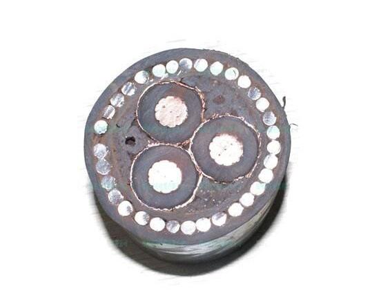 J9����|����վ����