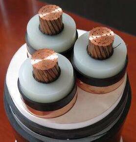 J9����|����վ����