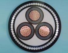 J9����|����վ����