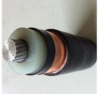 J9����|����վ����