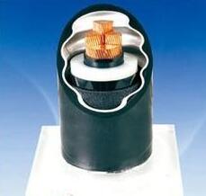 J9����|����վ����