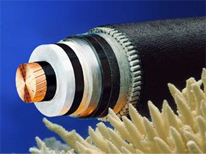 J9����|����վ����