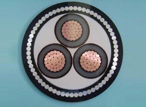 J9����|����վ����