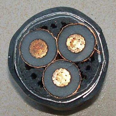 J9����|����վ����