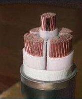 J9����|����վ����