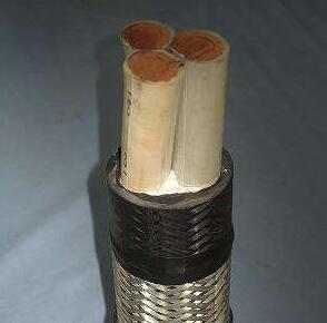 J9����|����վ����