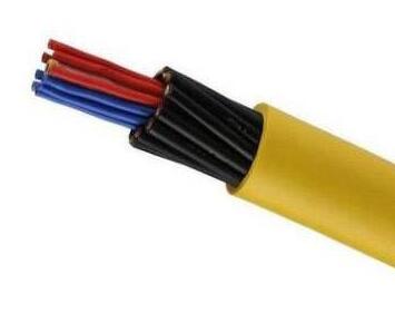 J9����|����վ����