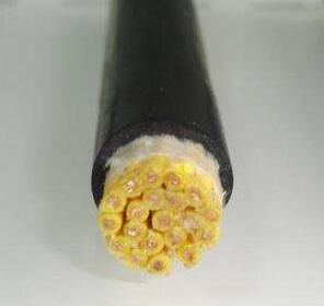 J9����|����վ����