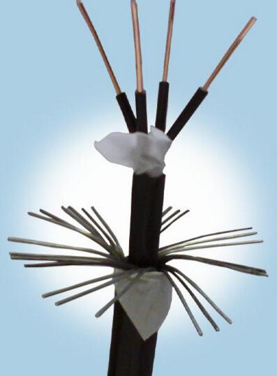 J9����|����վ����