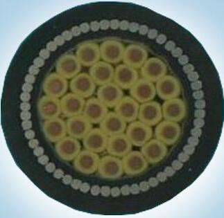 J9����|����վ����