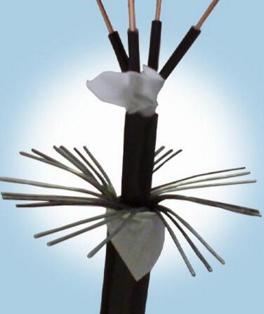 J9����|����վ����