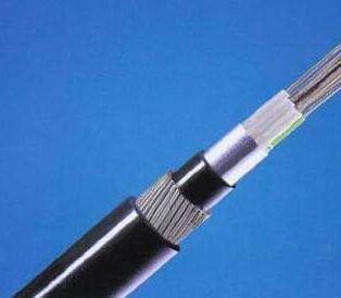 J9����|����վ����