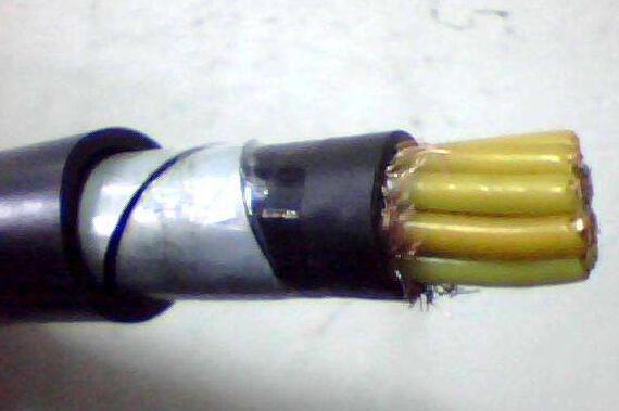 J9����|����վ����