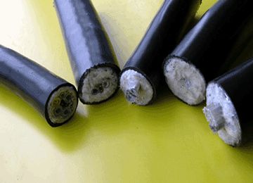 J9����|����վ����