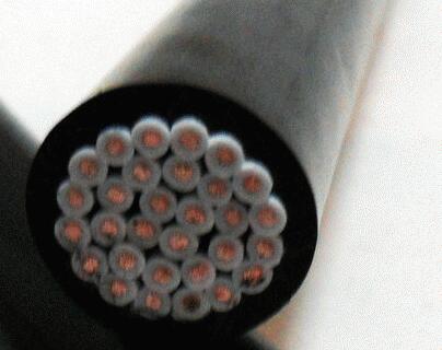 J9����|����վ����