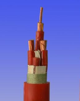 J9����|����վ����