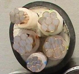 J9����|����վ����