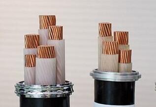 J9����|����վ����