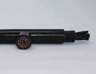 J9����|����վ����