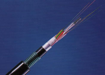 J9����|����վ����