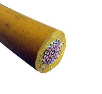 J9����|����վ����