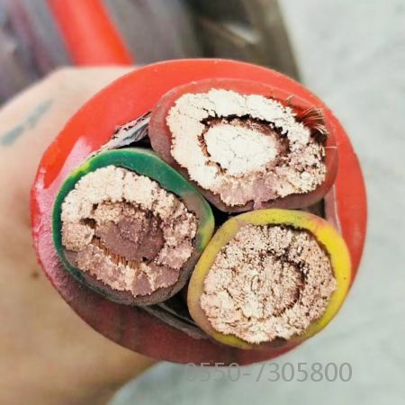 J9集团|国际站官网