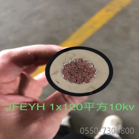 J9����|����վ����