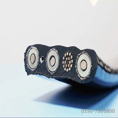 J9集团|国际站官网