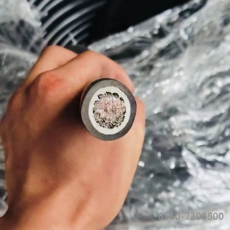 J9����|����վ����