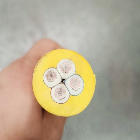 J9����|����վ����