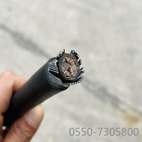 J9����|����վ����