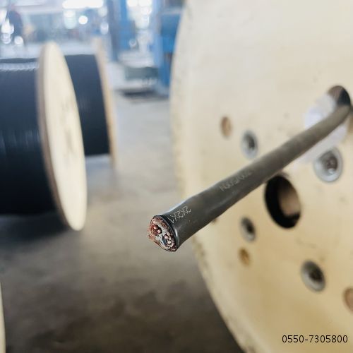 J9����|����վ����