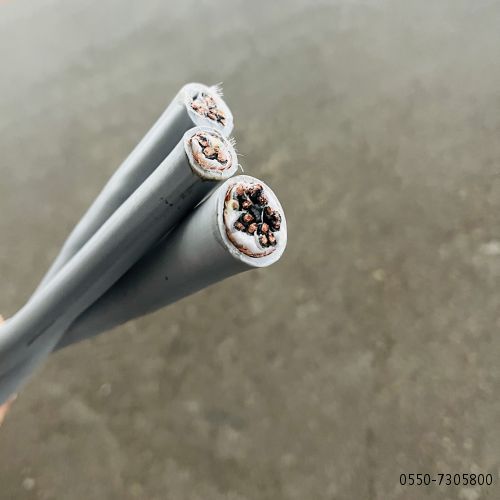 J9����|����վ����