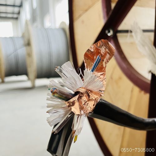 J9����|����վ����