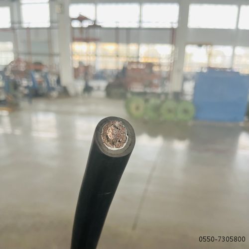 J9����|����վ����