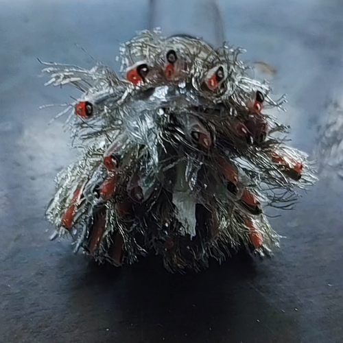 J9����|����վ����