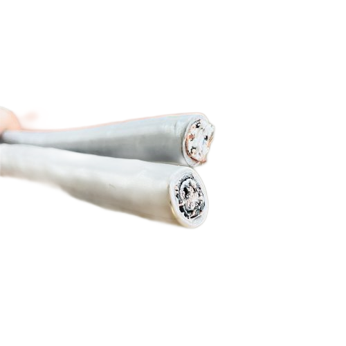 J9����|����վ����