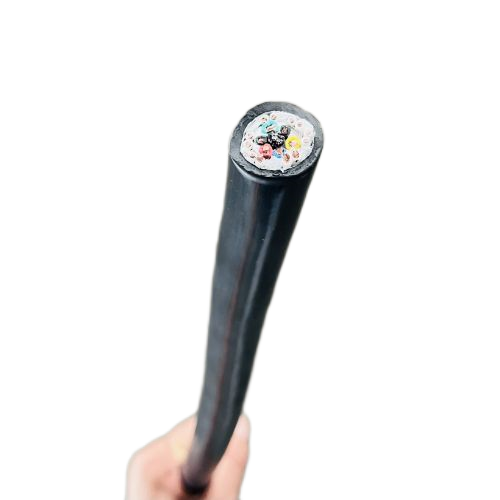 J9����|����վ����