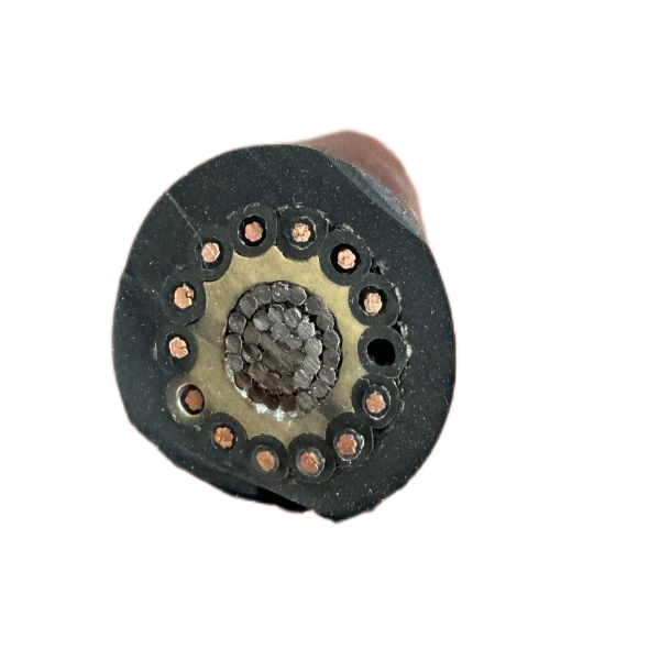 J9����|����վ����