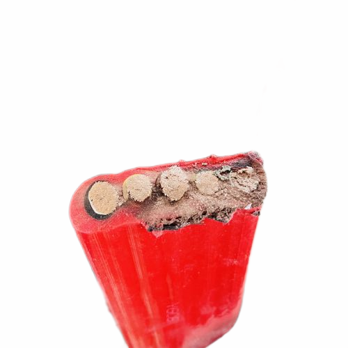 J9����|����վ����