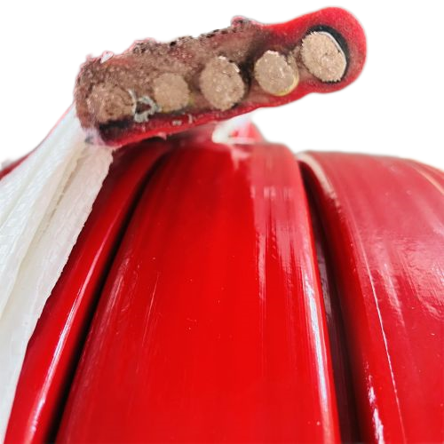 J9����|����վ����